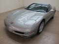 Light Pewter Metallic - Corvette Coupe Photo No. 4