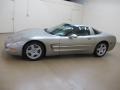 Light Pewter Metallic - Corvette Coupe Photo No. 5