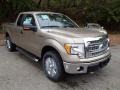 2013 Pale Adobe Metallic Ford F150 XLT SuperCab 4x4  photo #2