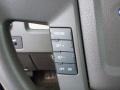 2010 Blue Flame Metallic Ford F150 XLT SuperCrew 4x4  photo #18