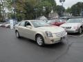 Gold Mist - CTS Sedan Photo No. 2