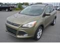 2013 Ginger Ale Metallic Ford Escape SE 1.6L EcoBoost 4WD  photo #1