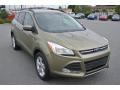 2013 Ginger Ale Metallic Ford Escape SE 1.6L EcoBoost 4WD  photo #2