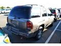 Graystone Metallic - TrailBlazer LS 4x4 Photo No. 2