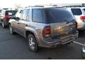 Graystone Metallic - TrailBlazer LS 4x4 Photo No. 3