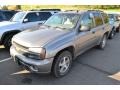 Graystone Metallic - TrailBlazer LS 4x4 Photo No. 4