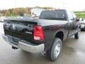 Black - 2500 Tradesman Crew Cab 4x4 Photo No. 6