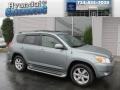 Everglade Metallic - RAV4 Limited V6 4WD Photo No. 1