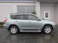 Everglade Metallic - RAV4 Limited V6 4WD Photo No. 2