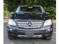 Black - ML 350 4Matic Photo No. 2