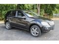 Black - ML 350 4Matic Photo No. 8