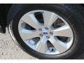 Graphite Gray Metallic - Outback 3.6R Limited Photo No. 22