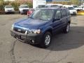 2007 Vista Blue Metallic Ford Escape XLT V6 4WD  photo #3