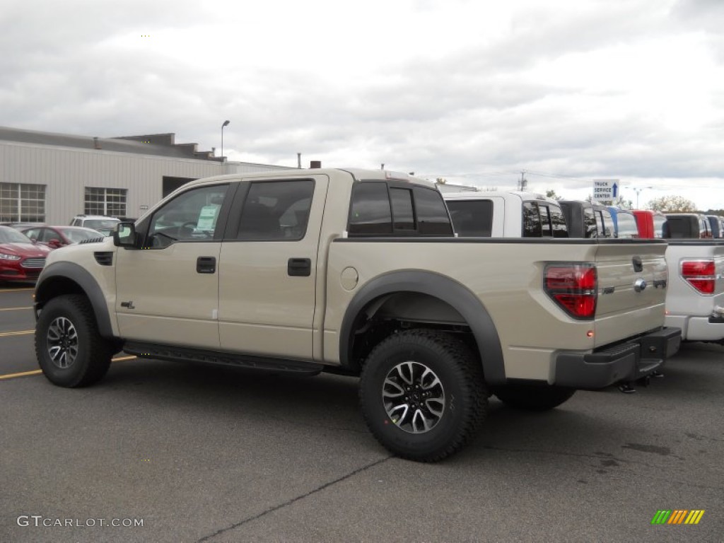 2013 F150 SVT Raptor SuperCrew 4x4 - Terrain Metallic / Raptor Black Leather/Cloth photo #4