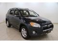 Black Forest Pearl 2010 Toyota RAV4 Limited 4WD