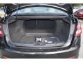 Dune Trunk Photo for 2014 Ford Taurus #86989874