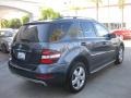 2010 Steel Grey Metallic Mercedes-Benz ML 350  photo #2