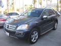 Steel Grey Metallic - ML 350 Photo No. 5