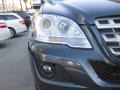 Steel Grey Metallic - ML 350 Photo No. 23