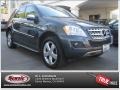 Steel Grey Metallic - ML 350 Photo No. 26