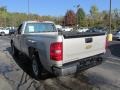 Silver Birch Metallic - Silverado 1500 LS Regular Cab 4x4 Photo No. 6