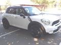Light White - Cooper S Countryman Photo No. 3