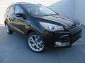 2014 Tuxedo Black Ford Escape Titanium 2.0L EcoBoost  photo #1