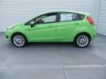 2014 Green Envy Ford Fiesta SE Hatchback  photo #6