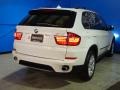 Alpine White - X5 xDrive 35i Photo No. 17