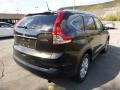 Kona Coffee Metallic - CR-V EX-L AWD Photo No. 3