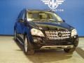 Black - ML 350 4Matic Photo No. 1