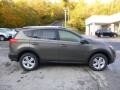 Pyrite Mica - RAV4 XLE AWD Photo No. 2