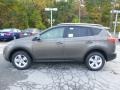 Pyrite Mica - RAV4 XLE AWD Photo No. 6