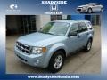 2008 Light Ice Blue Ford Escape Hybrid 4WD #86980637