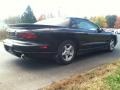 2002 Black Pontiac Firebird Coupe  photo #6