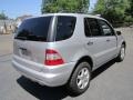 Brilliant Silver Metallic - ML 500 4Matic Photo No. 7