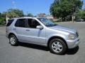 Brilliant Silver Metallic - ML 500 4Matic Photo No. 10