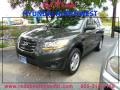 Black Forest Green Metallic 2010 Hyundai Santa Fe GLS 4WD