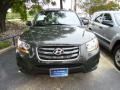 Black Forest Green Metallic - Santa Fe GLS 4WD Photo No. 2