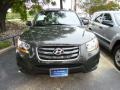 2010 Black Forest Green Metallic Hyundai Santa Fe GLS 4WD  photo #2