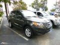 2010 Black Forest Green Metallic Hyundai Santa Fe GLS 4WD  photo #3