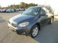 Flint Mica - RAV4 Sport 4WD Photo No. 3