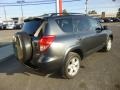 Flint Mica - RAV4 Sport 4WD Photo No. 10