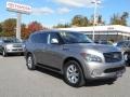 Platinum Graphite - QX 56 4WD Photo No. 1