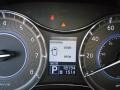 Platinum Graphite - QX 56 4WD Photo No. 10