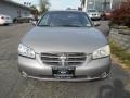 Sterling Mist Metallic - Maxima GXE Photo No. 2