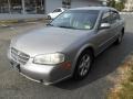 Sterling Mist Metallic - Maxima GXE Photo No. 3