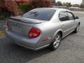 Sterling Mist Metallic - Maxima GXE Photo No. 4