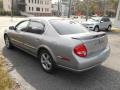 Sterling Mist Metallic - Maxima GXE Photo No. 6