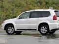 Blizzard White Pearl - GX 470 Photo No. 26
